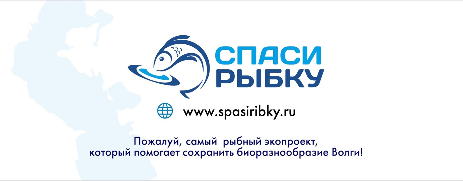 opencaspiy.ru