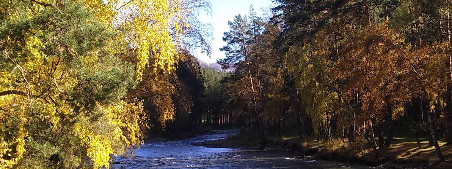 Алла Бахтина Футажи