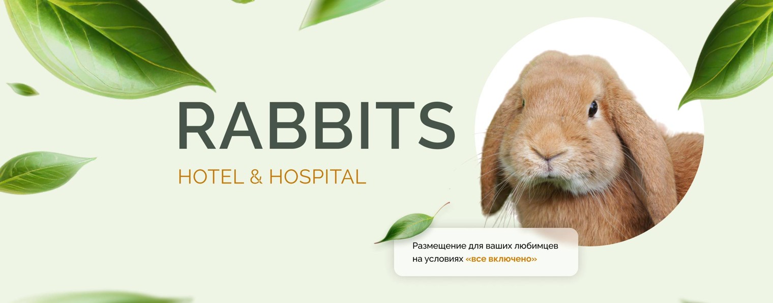 Rabbits Hotel&Hospital