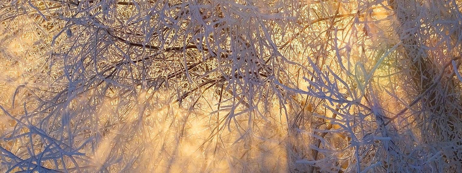 Константин Ширяев "УРОКИ  ФОТООХОТЫ"