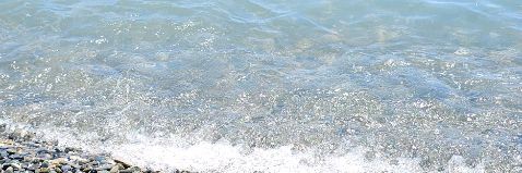 Безгубов Родион