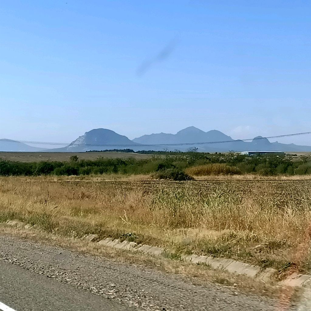 Обезьяна с гранатой