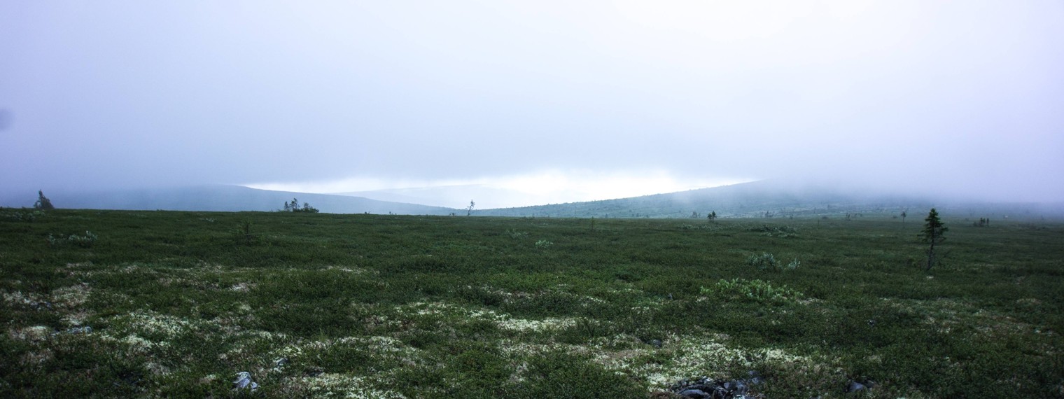 Сергей Попов