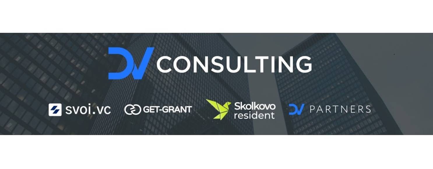 DV consulting