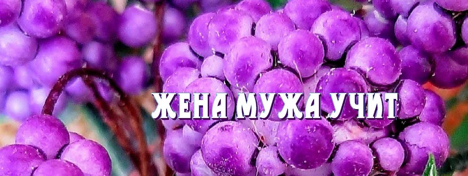 ЖЕНА МУЖА УЧИТ