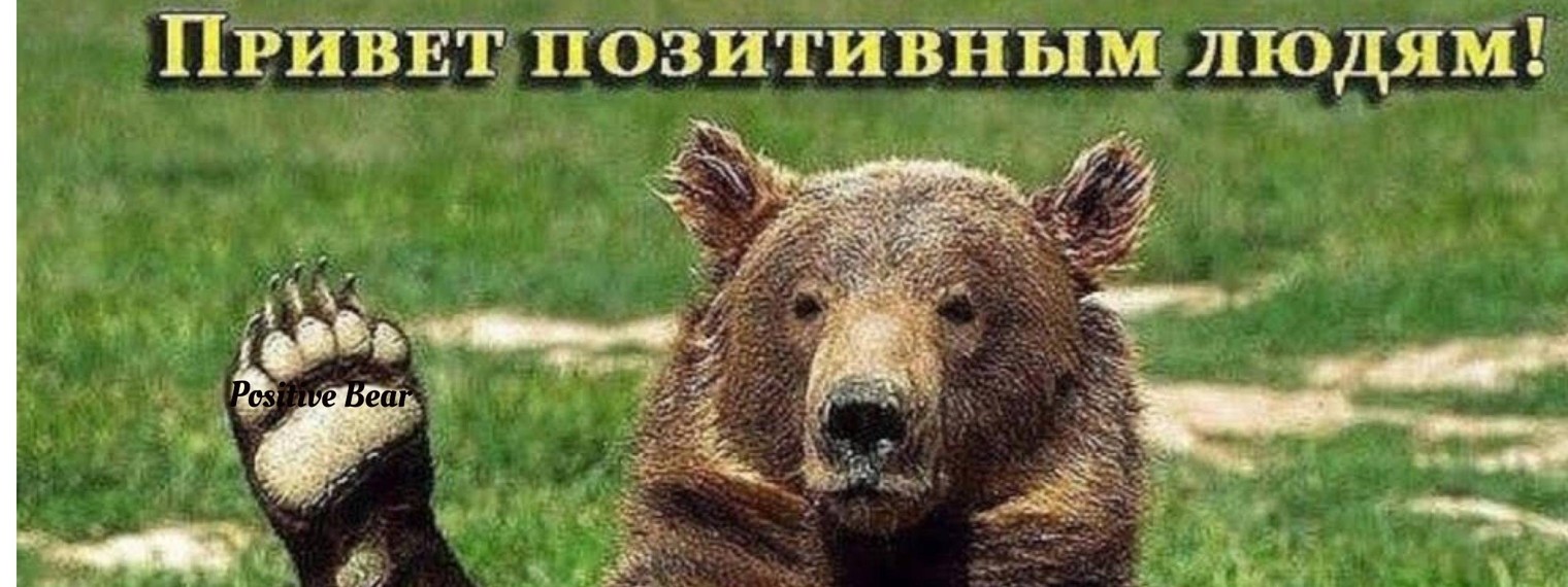 Позитивный Медведь