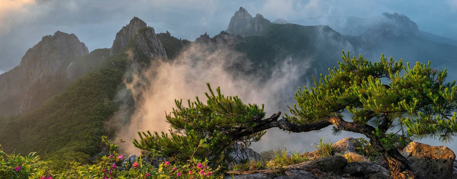 Здрава-Цигун для здоровья и долголетия