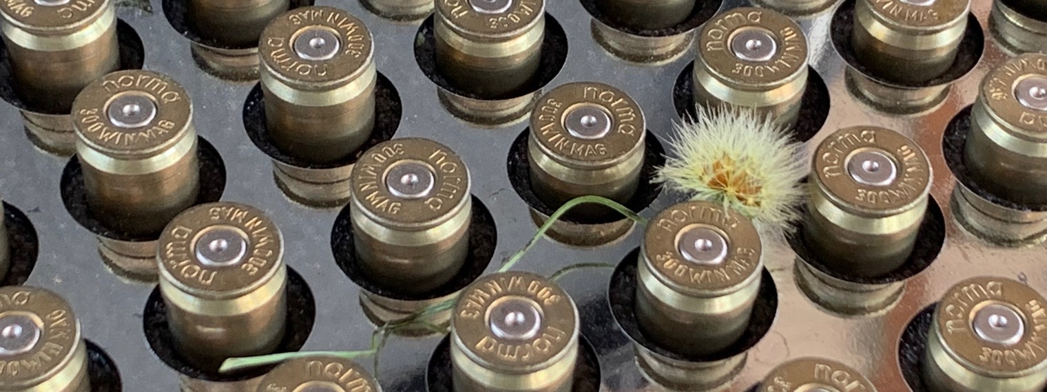 Стрелок и корректировщик