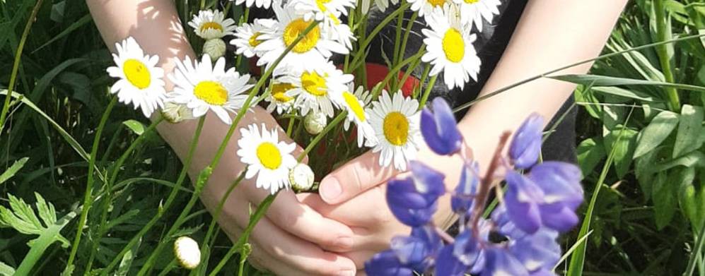 Ромашковый букет