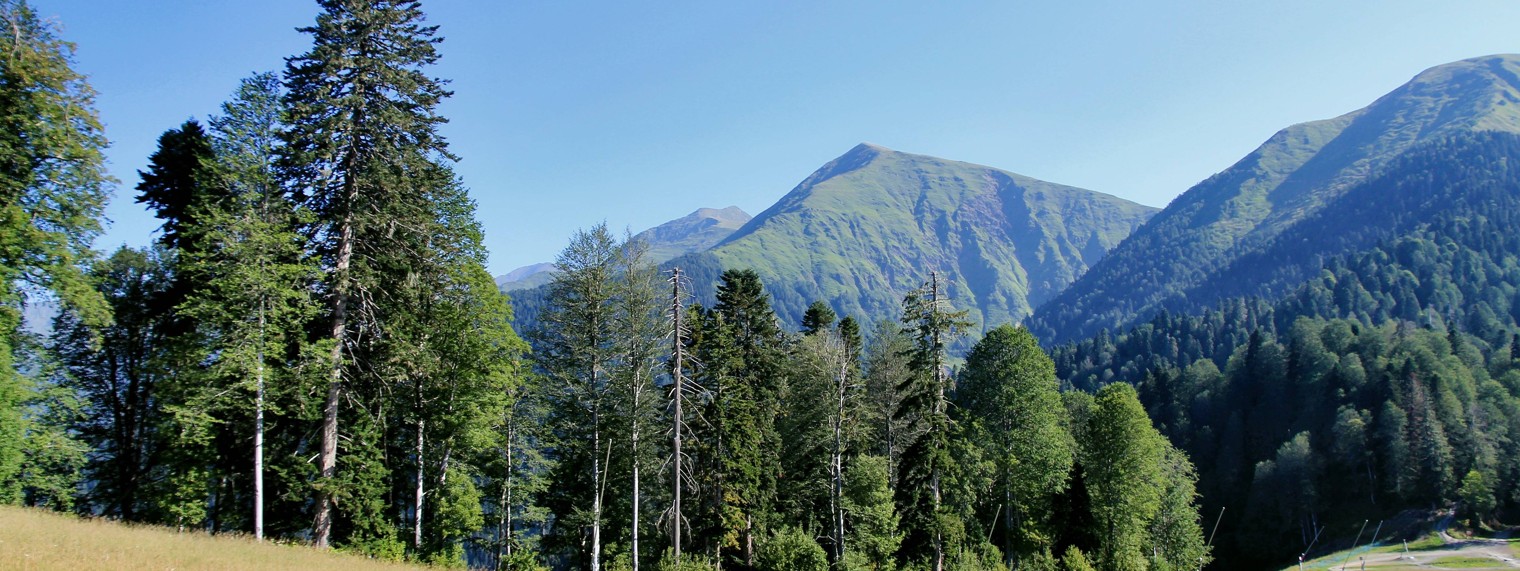 Я живу в Сочи