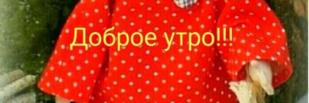 rutube_account_10569220