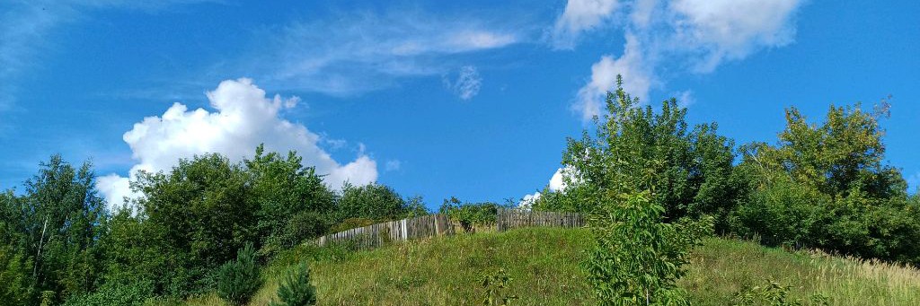 Ленинградский путешественник