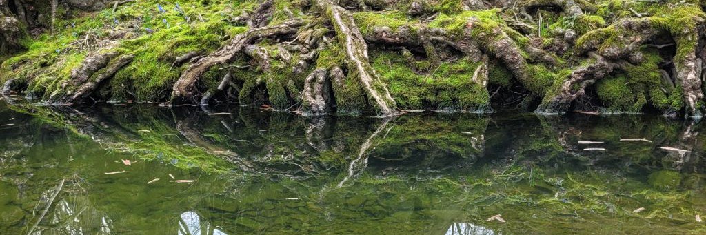 Жека Темщик