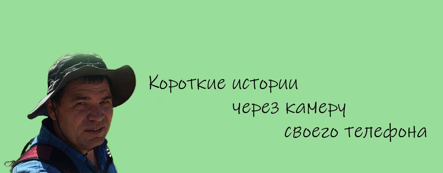 Геннадий Питьков