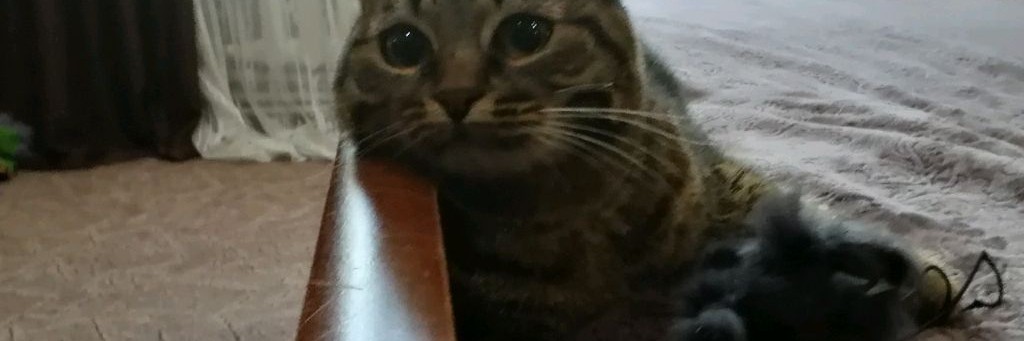 Просто Фроська и Маша❤️