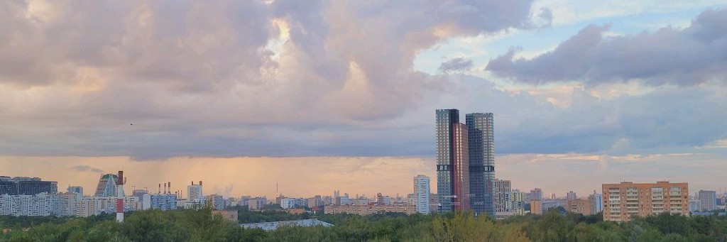 Меконгские бобтейлы