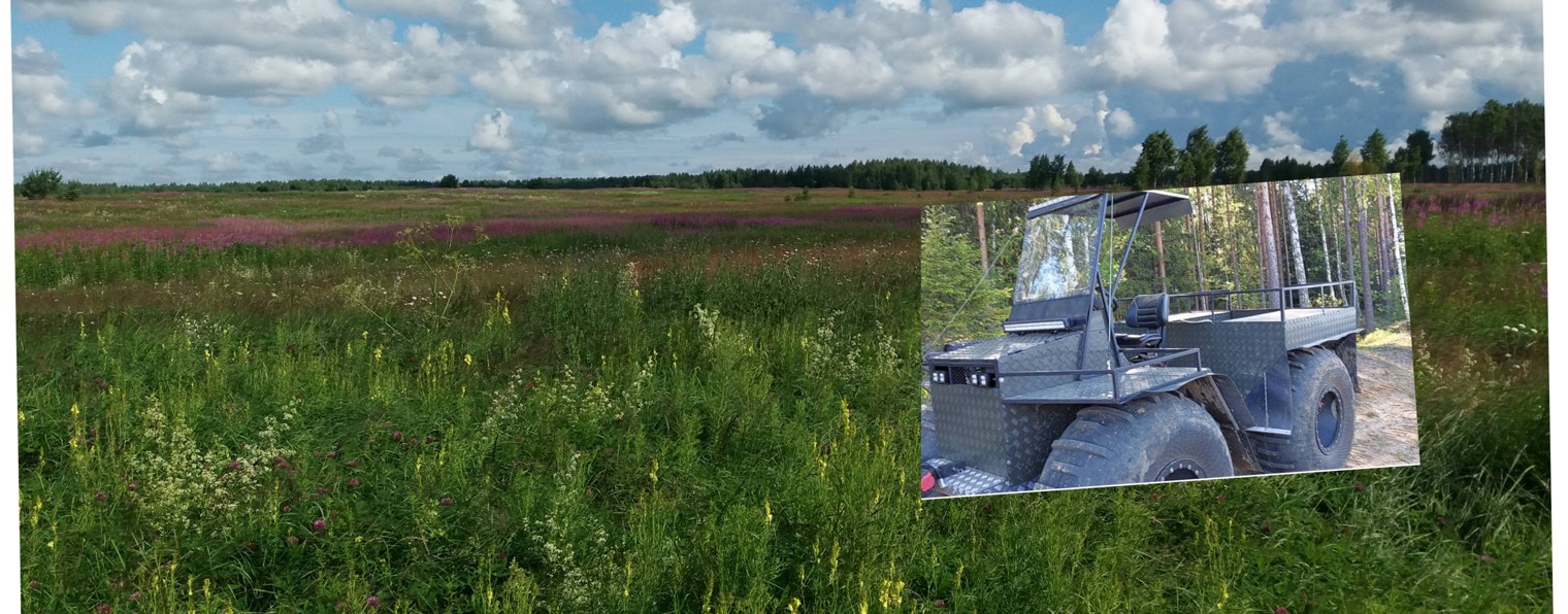 Это Родина моя !