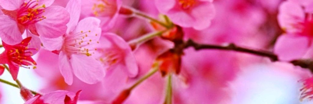 Погадаем С ЮЛЕЙ на Любовь