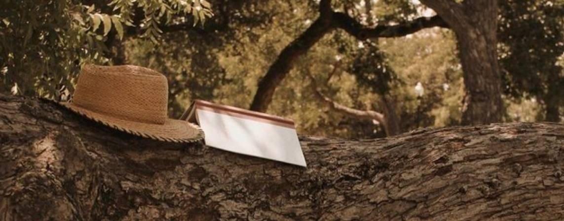 Худею, и коплю свой первый 1.000.000