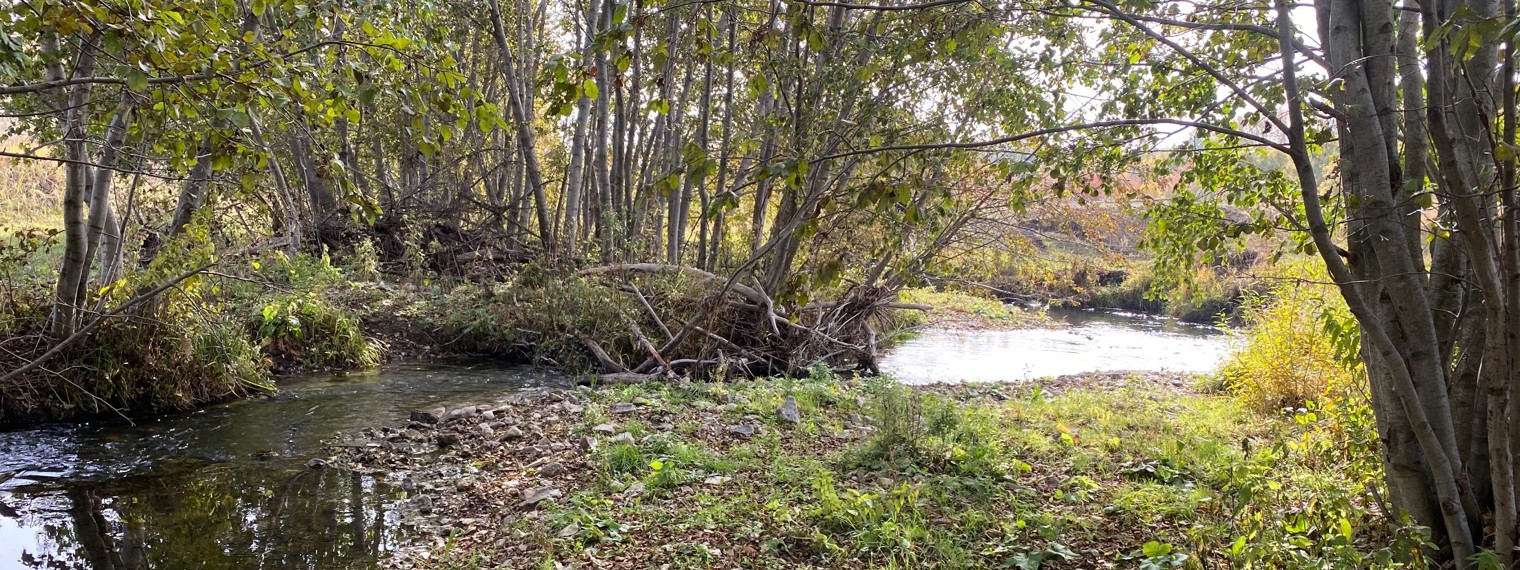 Прогулки со спиннингом