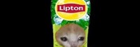 Lipton_trends