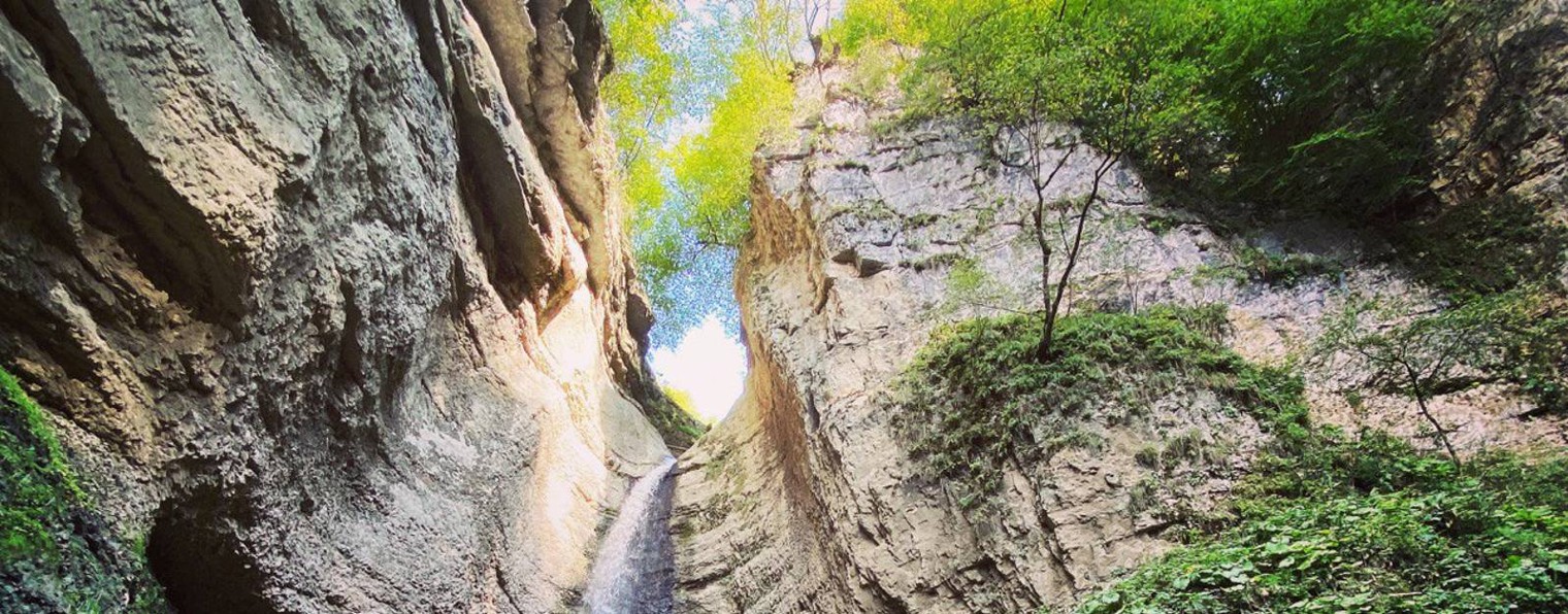 Кемпинг без ума 🏕️🤯