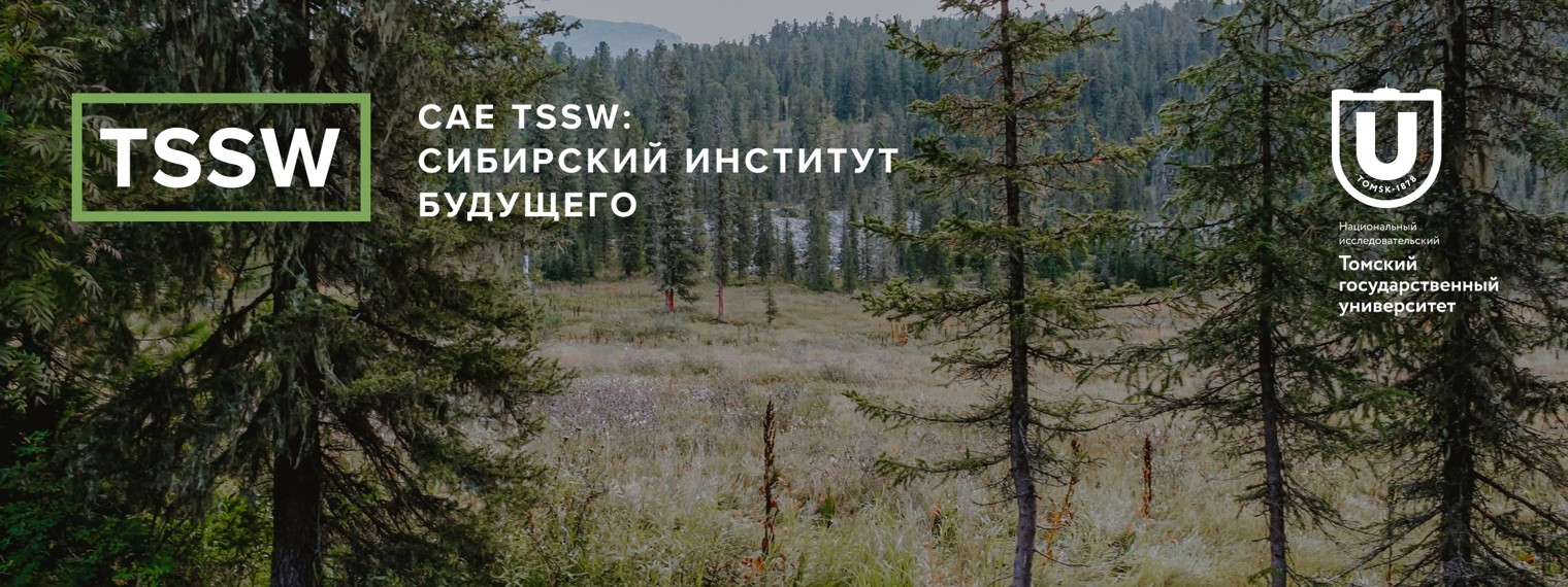 САЕ TSSW: Сибирский институт будущего