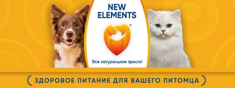 New_elements