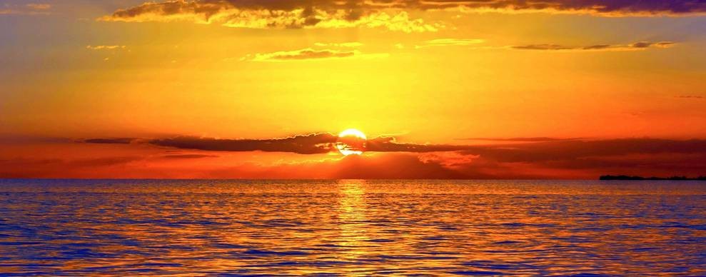 rutube_account_23464390