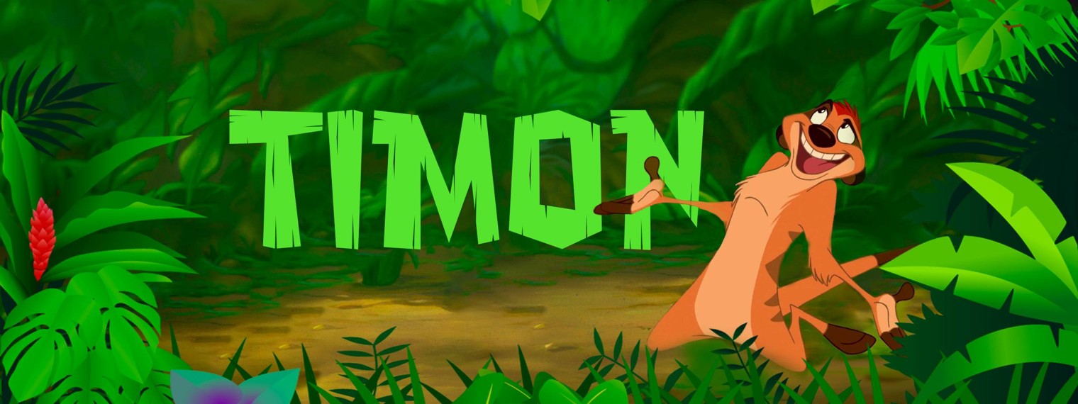 TIMON