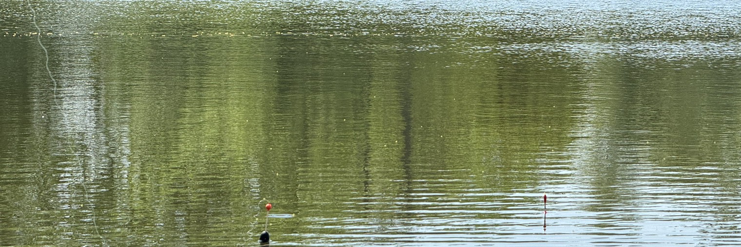 Разная рыбалка.