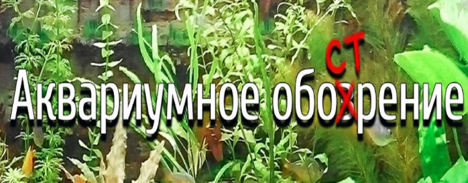 Аквариумное Обострение