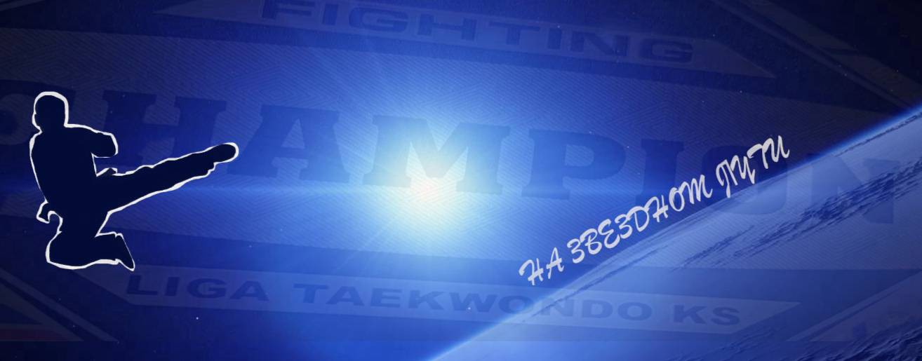 ligataekwondo