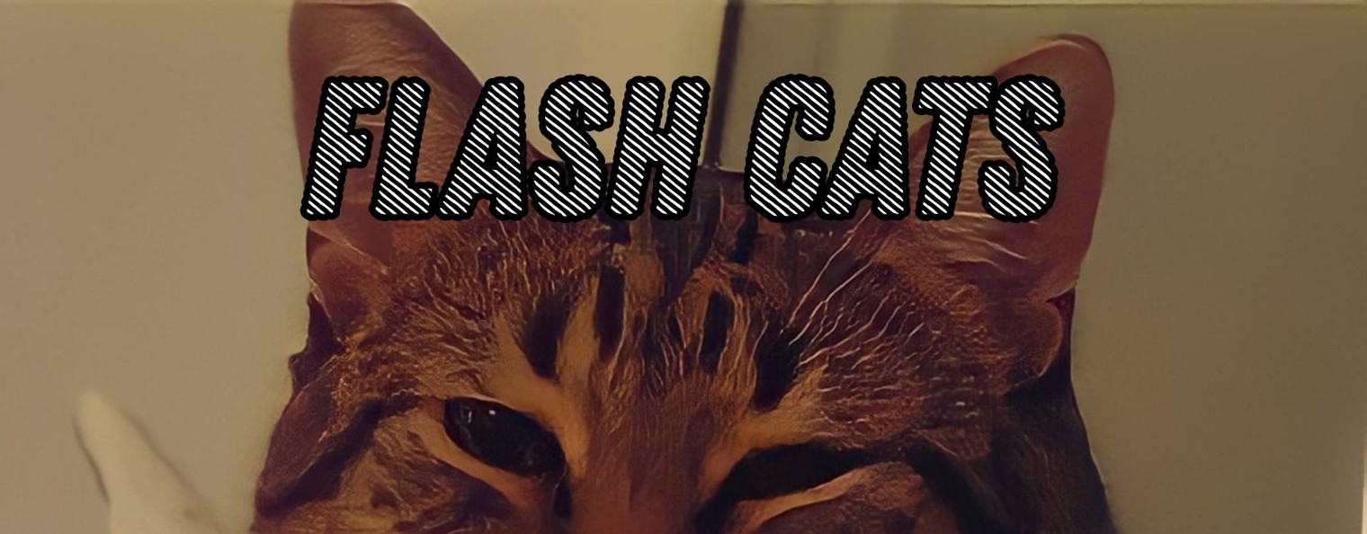 Flash Cats