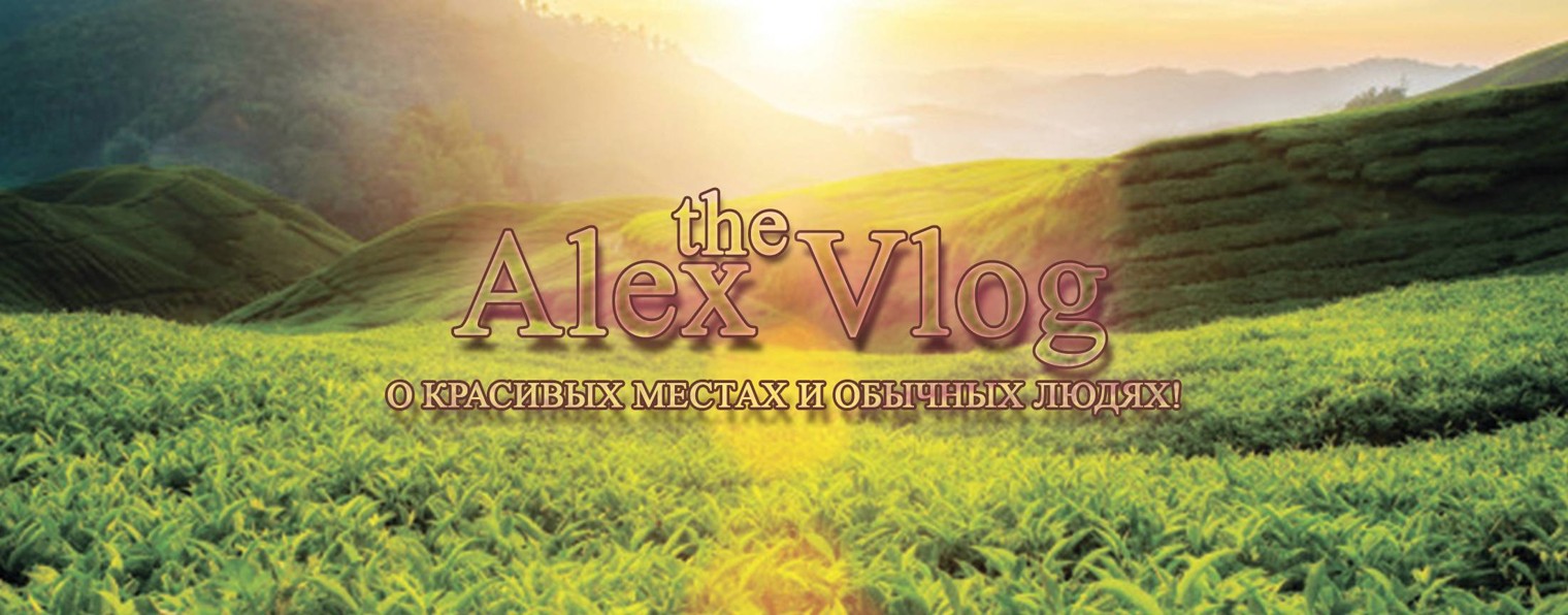 The Alex Vlog