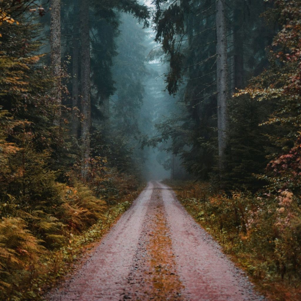 Бюджетные Истории . Mikhail Po .