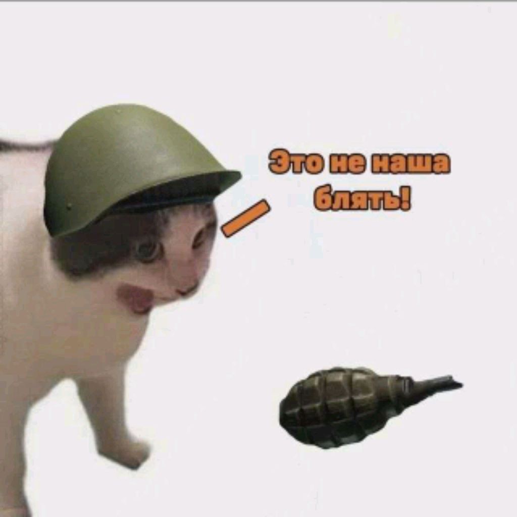 VelesTSV