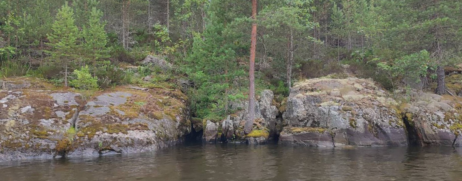 Альбом Путешествий