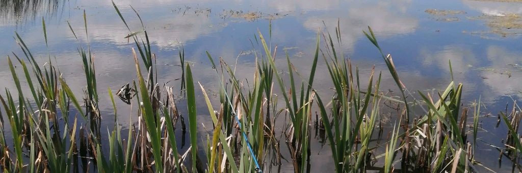 БУДНИ БРЯНСКОГО СТРОИТЕЛЯ