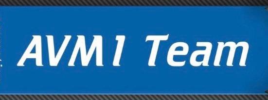 AVM1 Team