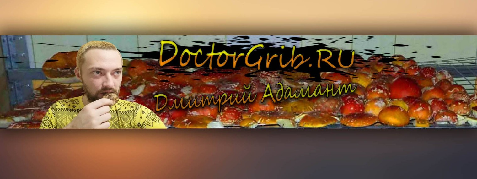 DoctorGrib
