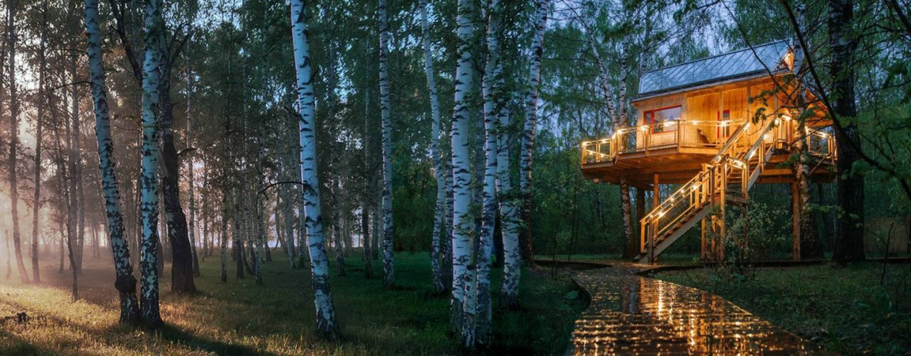 Лапочкино гнездо