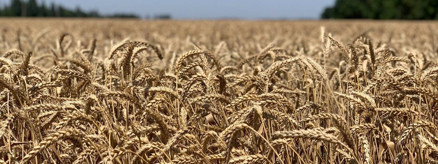 Компания АМРИТЭКС