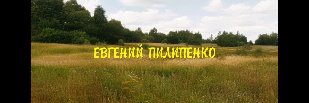 Актер театра и кино / Пилипенко Евгений