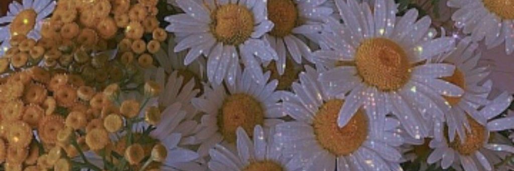 🌼(:)_РоМаШкА_(:)🌼