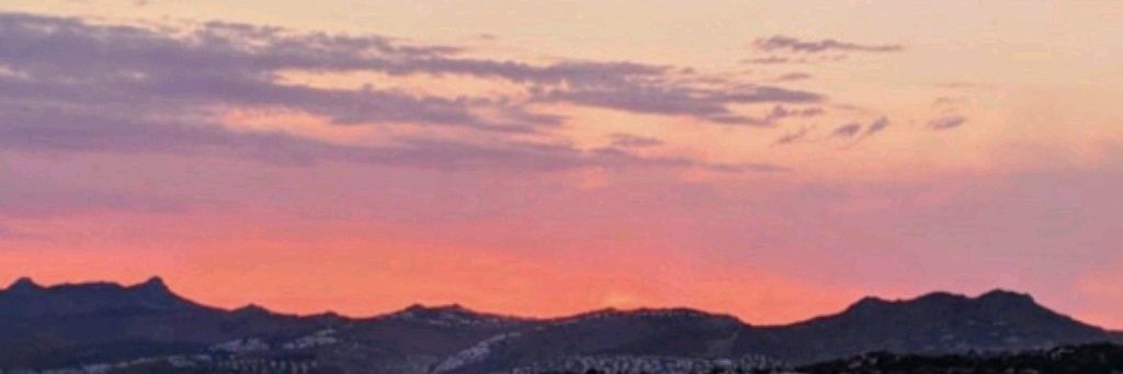 Тренер Мария Логинова