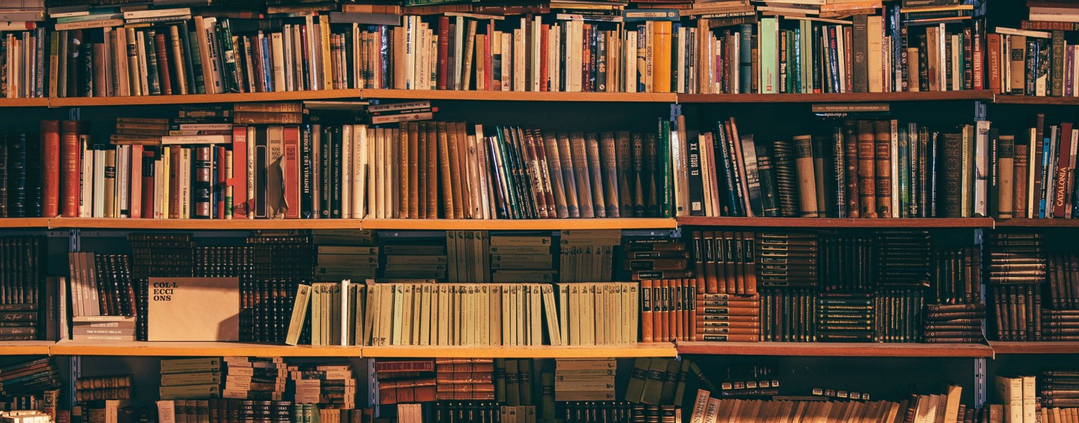 яша и тысяча книг