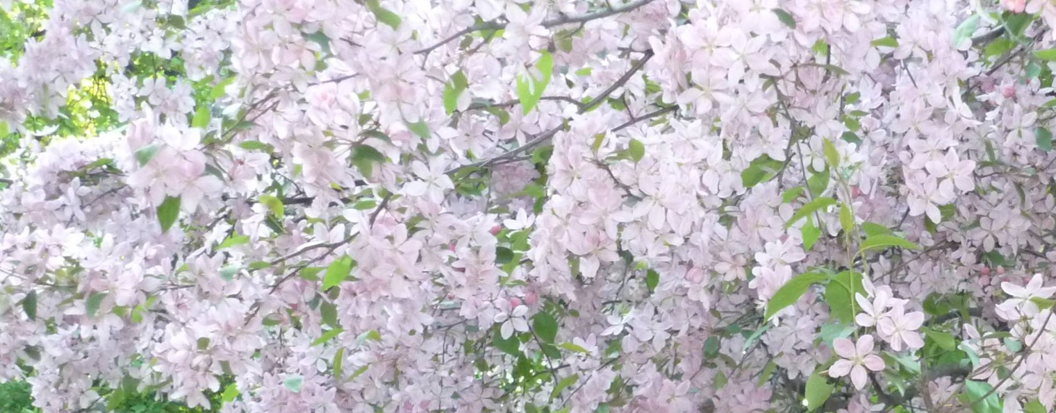 Рина Понемногуобовсем