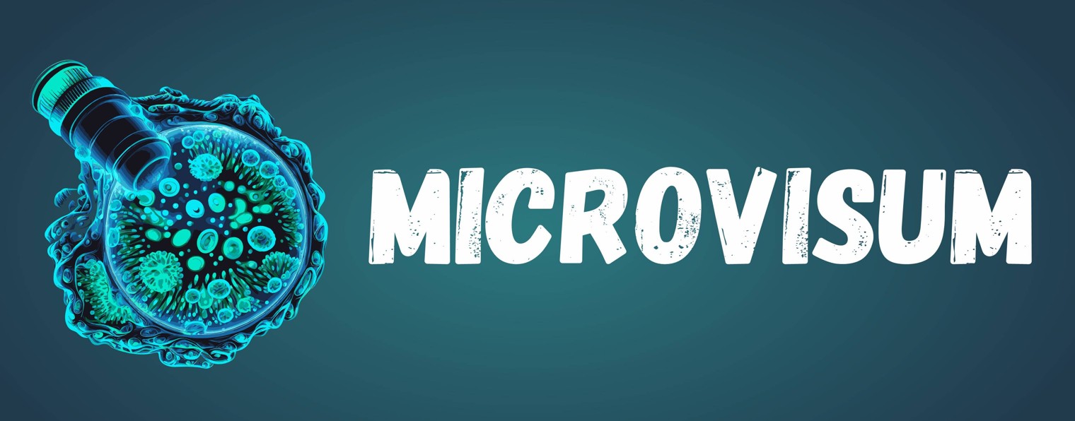 Microvisum