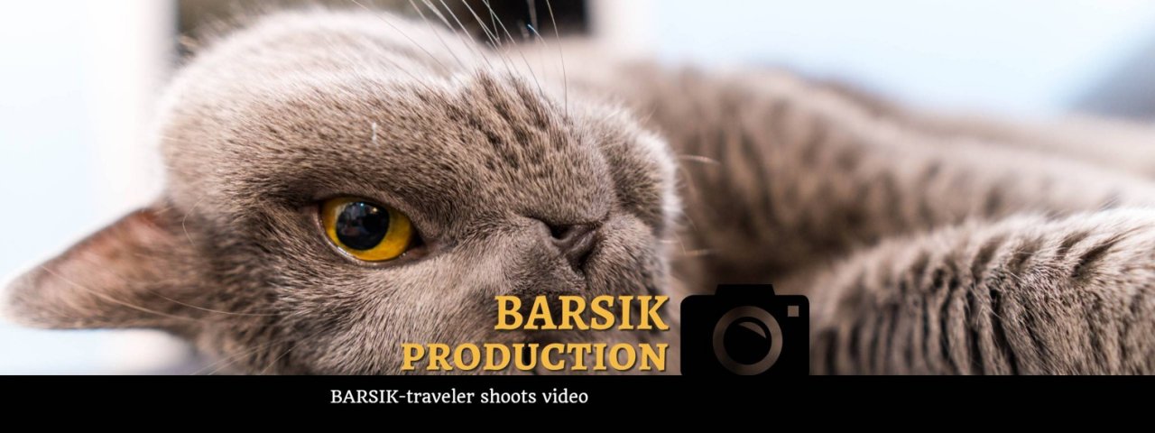 Barsik production